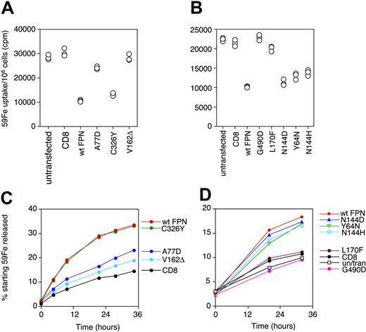 Figure 2. Effect of wtFPN and FPN mutants on iron accumulation and iron release. (A-B) Iron accumulation. 293T cells were transfected as for Figure 1, grown for 8 hours, and then fed 40 μg/mL 59Fe-Tf for 20 hours. Cells were then washed 3 times and counted, and cellular 59Fe in the pellets was measured. Each point represents the uptake into 1 aliquot of 106 cells. Panels A and B show that cells transfected with wtFPN accumulate 35% to 40% as much radioactive iron as untransfected control or CD8 transfectants. Mutants A77D, V162Δ, L170F, and G490D are able to accumulate 59Fe to the same levels as CD8 control cells, while in the case of C326Y, N144D, Y64N, and N144H levels are lower and comparable to wild type. (C-D) Iron release. Cells were grown in 40 μg/mL 59Fe for 24 hours, then washed and transfected as in panels A and B. Fifteen hours later cells were harvested, washed, and resuspended at 106 cells/mL in serum-free medium, and 59Fe export was measured at the intervals shown up to 36 hours after harvesting. Data are presented as a percentage of starting radioactivity when cells were harvested. Panels C and D show that cells transfected with wtFPN release up to 3 times as much 59Fe as untransfected control or CD8 transfectants. Mutants A77D, V162Δ, L170F, and G490D are only able to release 59Fe to levels similar to CD8 control cells, while in the case of C326Y, N144D, Y64N, and N144H iron release is higher and comparable to wtFPN. These results are representative of 3 experiments.