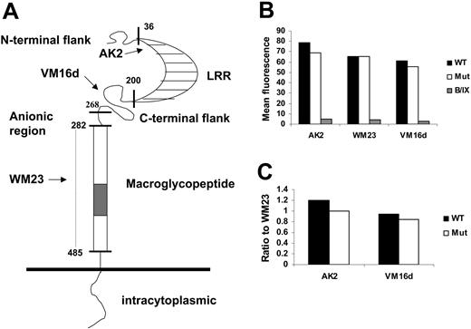 Figure 6. Binding of anti-GPIbα mAbs to transfected CHO cells. (A) Schematic representation of GPIbα showing the deletion mutation and epitopes of anti-GPIbα mAbs. (B-C) The binding of AK2, VM16d, and WM23 to CHO cells expressing WT (▪) is indistinguishable from that of the Mut GPIbα (□; n = 3, P > .05). Data are represented by the mean channel fluorescence. The mAb binding is specific because the binding to CHO β/IX cells (▦; cells lacking GPIbα) is negligible. The binding of AK2 and VM16d was compared with that of WM23, whose epitope is outside the VWF-binding domain.