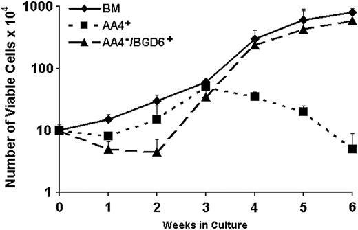 Figure 4. Growth characteristics of AA4+ and AA4-/BGD6+ mast cells following immunomagnetic isolation. Total bone marrow cells (BM; ♦), AA4+ (▪), and AA4-/BGD6+ (▴) isolated cells were placed in culture at 3.3 × 104/mL. Cells were fed every 5 days as described in “Materials and methods” and the total viable cell number determined at the indicated times. When freshly isolated AA4-/BGD6+ cells are cultured in the presence of IL-3 and SCF, there is a lag of approximately 2 weeks before the cell number increases. After 6 weeks there has been a 60-fold increase in the cell number. The unfractionated bone marrow exhibits similar growth kinetics, with the exception of the lag at the initiation of the culture, increasing 70-fold at 6 weeks. The isolated AA4+ cells have different growth kinetics, expanding only 5-fold at 3 weeks with the cell numbers declining after this time, indicating the lack of a renewable precursor in this population. Data are X ± SD from 10 cultures.