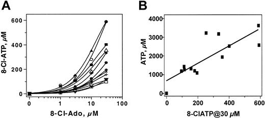 Figure 3. Dose-dependent accumulation of 8-Cl-ATP and its relation to the ATP pool. CLL lymphocytes from 12 patients (8, 23-33) were incubated with indicated concentration of 8-Cl-Ado for 4 hours and PCA-extracted nucleotides were analyzed by HPLC. Dose-dependent increase of 8-Cl-ATP was plotted (A) and accumulation of 8-Cl-ATP at 30 μM exogenous 8-Cl-Ado was compared with endogenous ATP pool from each patient (B); each symbol represents one patient.