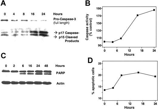 Figure 5. Induction of CLL cell death by 8-Cl-Ado. Several experimental approaches were used to determine cell death of primary leukemic lymphocytes by 8-Cl-Ado. Immunoblot analysis of cleavage of procaspase 3 to active caspase 3 (A), caspase activation detection by fluorescent assay (B), time-dependent cleavage of PARP (C), and apoptotic death measured by sub GO-G1 DNA content (D).