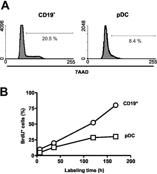 Figure 3. The pDCs in bone marrow are slowly replenished. (A) Purified B220+CD19-CD11cLo pDCs were stained with 7AAD for analysis of DNA content. (B) Mice were injected and then fed BrdU in their drinking water for the indicated intervals when cells were isolated and evaluated by flow cytometry. Enriched B220+CD19-CD11cLo pDCs (□) were compared with B220+CD19+ B-lineage lymphocytes (○).