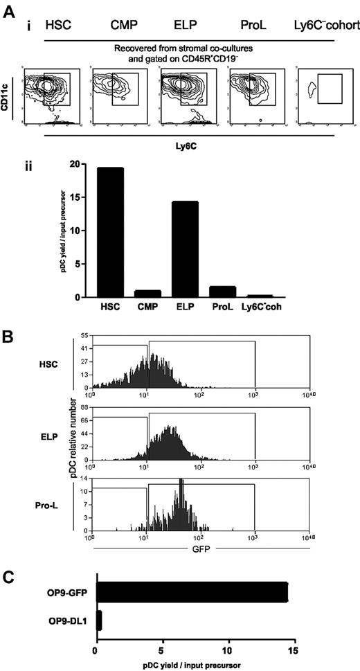 Figure 4. The progenitors of pDCs are within stem cell–containing fraction and early lymphoid progenitors, and are negatively regulated by Notch receptor ligation. (A) Lin-ckitHiSca1+GFP- (stem cell enriched), Lin-ckit+Sca1- GFP-CD34+FcγRLo (myeloid progenitors), Lin-ckitHi Sca-1+GFP+ (early lymphoid progenitors), Lin-ckitLo Sca-1LoGFP+ (prolymphocytes), and B220+CD19- CD11cLoLy6C- (Ly6C- cohort) were isolated from RAG1/GFP knock-in mice. Cells (10 000) of each kind were cultured for 8 days on OP9 stromal cells with Flt3-L. Cells were harvested and stained with CD45R/B220 and CD19. The B220+CD19- population was sorted and restained with CD11c and Ly-6C (i). The yield of CD11cLoLy-6C+ pDCs recovered per input precursor is shown in the bar graph (ii). CMP indicates common myeloid progenitors. (B) GFP expression was analyzed in B220+CD19-CD11cLoLy6C+ pDCs recovered from HSCs, ELPs, and Pro-L cultures. (C) Lin-ckitHi Sca-1+CD27+ ELPs (10 000) from C57BL/6 BM were cultured for 8 days on OP9-GFP or OP9-DL1 stromal cells. The yield of pDCs per input precursor is shown in the bar graph.