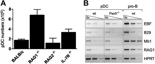 Figure 5. Developmental independence of pDCs on RAG1, RAG2, IL-7Rα, or Pax5. (A) pDC incidence in marrow of RAG1, RAG2, CD127/IL-7Ra, and Pax5 knock-out mice. Results are presented as the mean ± SD of 3 different experiments. (B) pDCs were sorted from BM of 12-day-old Pax5-/- and littermate control mice. RT-PCR analysis for expression of the indicated genes was performed with 5-fold serial dilutions of cDNA prepared from these cells. The cDNA input was normalized according to the expression of the control HPRT gene.