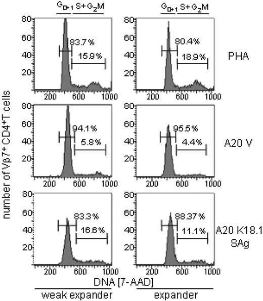 Figure 5. T cell-anergy did not account for the differential peripheral SAg reactivity. Vβ7CD4 T cells from responders and weak responders were activated with the polyclonal T-cell mitogen PHA (top row), with vector (A20 V, middle row), or with HERV-K18 SAg–transfected A20 cells (bottom row). Cell cycle analysis of Vβ7+CD4+ T cells was performed with 7-actinomycin D (7-AAD). The lower fraction of cells entering the cell cycle in the expander could reflect a regulatory mechanism encountered among samples with high proportions of SAg-reactive T cells, which was previously recognized for MMTV SAgs. Horizontal bars and percentages refer to the fraction of cells in Go1, and S+2M, respectively.