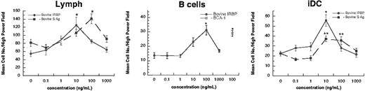 Figure 1. Human lymphocytes and iDCs migrate to IRBP and S-Ag. Freshly isolated human B cells (95% purity), 16-hour IL-2–cultured lymphocytes (Lymph; 90%), or monocyte-derived immature dendritic cells (iDC; 95%) were placed in the upper chamber of a micro-Boyden chemotaxis chamber. The number of migrated cells in 3 high-powered fields (× 200) was determined by light microscopy. The mean number of migrating cells and corresponding standard deviation are graphed on the y-axis while ligand concentrations are shown on the x-axis. • indicates bovine IRBP, while ▪ represents bovine S-Ag. Cells tested include lymph nodes cells (left), B cells (middle), and iDCs (right). For B cells, a control chemoattractant BCA-1 (CXCL13; □) is shown at 100 ng/mL. StatView Student t test (Abacus Concepts, Berkeley, CA) with *P ≤ .0001 for maximum chemotactic responses vs “0” control; **P ≤ .005. N ≥ 2. A representative experiment is shown. Error bars indicate standard deviation (s).