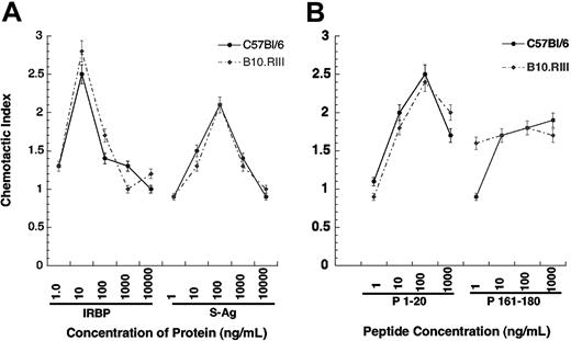 Figure 7. Murine myeloid DCs migrate to IRBP, S-Ag, and IRBP-related peptides. Murine immature DCs were generated from the bone marrow of EAU-resistant C57Bl/6 (• and solid line) or sensitive B10.RIII (• and broken line) mice. Chemotactic indexes are graphed on the y-axis while the chemoattractant and concentration are shown of the x-axis. *P ≤ .05. Error bars indicate standard deviation.