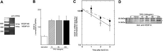 Figure 1. TPO controls VEGF-A at a transcriptional level. (A) To analyze the expression of VEGF-A variant forms, RNA was prepared from UT-7/TPO cells cultured with 10 ng/mL hTPO and RT-PCR was performed with primers spanning exon 3 and exon 8. (B) UT-7/TPO cells were deprived of growth factors for 24 hours (□) and then stimulated with 100 ng/mL hTPO for various time periods (▨, 1 hour; ▦, 6 hours; ▪, 24 hours). RNA was prepared and VEGF-A mRNA levels were analyzed by real-time RT-PCR with primers that recognize all variants of VEGF-A transcripts. Each column represents the average VEGF-A level normalized to a GAPDH internal control ± SD of 3 independent experiments. (C) After 24 hours growth factor deprivation, UT-7/TPO cells were stimulated with 100 ng/mL hTPO for 3 hours, after which 10 μg/mL actinomycin D was added and the cells cultured for the additional indicated time periods with (○ and solid line) or without (▪ and broken line) hTPO. RNA was prepared and VEGF-A levels were monitored by the real-time RT-PCR assay. Levels of 18s RNA were used as an internal control. The graph represents the result of 3 independent experiments ± SD. The difference between the 2 curves does not reach statistical significance. (D) UT-7/TPO cells were deprived of growth factors for 24 hours and then treated with 100 ng/mL hTPO. The cytoplasmic protein fraction was prepared and VEGF-A expression levels were analyzed by Western blotting. *VEGF165; **VEGF121.
