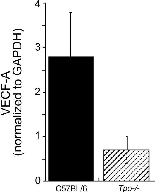 Figure 2. Immature sca-1+/c-kit+/Gr-1- hematopoietic cells from Tpo-/- mice display reduced VEGF-A–specific mRNA levels. Whole bone marrow cells were prepared from control C57BL/6 and Tpo-/-mice. The cells were pooled (experiment 1: n = 4 C57BL/6, n = 4 Tpo-/- mice; experiment 2: n = 4 C57BL/6, n = 5 Tpo-/-mice) and Sca-1+/c-kit+/Gr-1- cells were collected. Immediately after the collection, mRNA was prepared for real-time PCR analysis. Each column represents an average of VEGF-A mRNA levels normalized to a GAPDH internal control ± SD of 2 experiments (▪, C57BL/6; ▨, Tpo-/-).