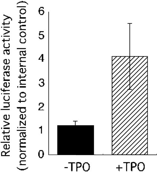 Figure 4. TPO activates a human VEGF promoter fragment containing a HIF-1α–binding site. The pHRE luciferase plasmid was introduced into UT-7/TPO cells with internal control vector pRL-TKLuc. Twenty-four hours after transfection, the cells were starved for 24 hours and then stimulated with 100 ng/mL TPO (▨) or serum (▪). The cells were then harvested for luciferase assay. Luciferase activity was normalized to internal control and an average ± SD of 3 experiments is shown.