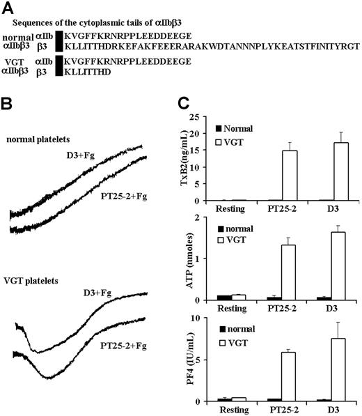 Figure 1. LIBS-specific mAb-induced signaling by platelets lacking the β3 cytoplasmic domain. (A) Sequences of the αIIb and β3 cytoplasmic domains present in normal and VGTΔ724 platelets. (B) Aggregation traces of normal and VGTΔ724 platelets treated separately with the LIBS-specific mAbs D3 (30 μg/mL) and PT25-2 (30 μg/mL) in the presence of fibrinogen (Fg; 250 μg/mL). It is noteworthy that D3 and PT25-2 each induced shape change of VGTΔ724, but not the normal platelets. (C) Graph presentation of TxA2 production as well as ATP and PF4 secretion. The error bars represent SD, n = 3. In some cases, the values of the SD were so small that the bars cannot be seen.