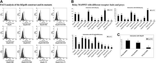 Figure 4. Interaction analysis with the wild-type or mutated EpoR receptor baits using relay MAPPIT. (A) Expression of the wild-type EpoR or EpoR Y→F mutants in transiently transfected Hek293-T cells was verified by FACS analysis. The filled and open curves show parental and transfected Hek293-T cells, respectively. (B) Hek293-T cells were transiently cotransfected with vectors expressing a prey, the pXP2d2-rPAP1-luci reporter construct, and vectors expressing the wild-type EpoR or an EpoR mutant as indicated. After transfections, cells were stimulated with Epo or were left untreated (NS, not stimulated). Average values for relative luciferase activities (x-fold increase, luciferase values obtained from stimulated cells with respect to values derived from untreated cells) are shown. Representative experiments from at least 3 are shown. (C) Hek293-T cells were transfected with vectors expressing the EpoR, different preys, and the pXP2d2-rPAP1-luci reporter. After transfection, cells were stimulated with Epo or were left untreated (NS, not stimulated). Average values for relative luciferase activities (x-fold increase, luciferase values obtained from stimulated cells with respect to values derived from untreated cells) are shown. A representative experiment from 3 is shown.