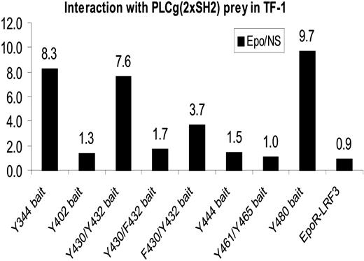 Figure 5. Detection of bait-prey interactions in TF-1 cells. EpoR bait constructs, as indicated, in combination with the PLCγ(2 × SH2) prey and the pXP2d2-rPAP1-luci reporter were electroporated in TF-1 cells. After removal of GM-CSF for 24 hours, cells were stimulated with Epo or were left untreated (NS, not stimulated). Average values for relative luciferase activities (x-fold increase, luciferase values obtained from stimulated cells with respect to values derived from untreated cells) are shown. A representative experiment from 3 is shown.