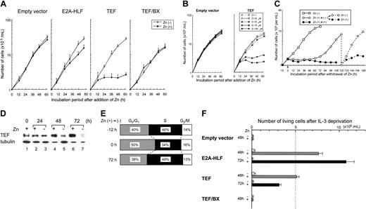 Figure 4. Growth arrest and cell survival of FL5.12 cells transfected with the TEF expression vector. (A) Growth curves of FL5.12 cells transfected with the empty vector, pMT-TEF, pMT-TEF/BX, or pMT–E2A-HLF. Cells were adjusted to 1 × 105 cells per mL and cultured in IL-3–containing medium in the presence (•) or absence (○) of 100 μM Zn. Representative data of multiple experiments using 3 independent pools are shown. Bars indicate standard error. (B) Growth of FL5.12 cells transfected with the empty vector or pMT-TEF in IL-3–containing medium in the presence of 0, 25, 50, 75, or 100 μM of Zn. (C) Growth curves of pMT-TEF–transfected FL5.12 cells after withdrawal of Zn. □ indicates the growth of cells cultured in IL-3–containing medium in the absence of Zn. Cells were preincubated in the presence of 100 μM Zn for 12 hours, washed with medium, adjusted to 1.5 × 105 cells per mL, and then cultured in IL-3–containing medium either in the presence (•) or absence (○) of 100 μM Zn. One hundred twenty hours after withdrawal of Zn, cells cultured in the absence of Zn were adjusted to 1 × 105 cells per mL and cultured in the presence (•- - -•) or absence (○- - -○) of 100 μM Zn. The means of triplicate samples are indicated. (D) Time course analysis of TEF expression in pMT-TEF–transfected FL5.12 cells after withdrawal of Zn. Cells were preincubated in the presence of 100 μM Zn for 12 hours, washed with medium (lane 1), then cultured in IL-3–containing medium in the presence (lanes 2, 4, and 6) or absence (lanes 3, 5, and 7) of 100 μM Zn for the indicated periods of time and subjected to immunoblot analysis using the HLF(C) antiserum. The expression of tubulin was also analyzed as control. (E) Cell cycle analysis of pMT-TEF–transfected FL5.12 cells. Cells cultured in IL-3–containing medium (top; - 12 hours) were preincubated with 100 μM of Zn for 12 hours (middle; 0 hour), washed with medium, and subsequently cultured in IL-3–containing medium in the absence of Zn for 72 hours (bottom; 72 hours). ▨ indicates G0/G1; ▪, S; and □, G2/M. (F) Number of viable cells after IL-3 deprivation of FL5.12 cells. FL5.12 cells transfected with the empty vector, pMT-TEF, pMT-TEF/BX, or pMT–E2A-HLF were precultured in IL-3–containing medium in the presence or absence of 100 μM of Zn for 16 hours. Cells were then washed with IL-3–free medium, adjusted to 5 × 105 cells per mL, and cultured without IL-3 either in the presence (and ▪) or absence (□) of Zn, respectively. Upon deprivation of IL-3 for 48 or 72 hours, the numbers of viable cells as determined by trypan-blue dye exclusion are indicated. The mean data of 3 independent experiments are shown. Bars indicate standard error.