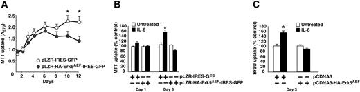 Figure 6. Erk5 participates in MM proliferation. (A) Proliferation of MM1S (○) or MM1S cells expressing HA-Erk5AEF (•). Cells were plated at identical densities and MTT uptake measured at the indicated times. Data correspond to the mean from quadruplicates ± SD of an experiment that was repeated 3 times. *P < .01. (B) Action of HA-Erk5AEF on IL-6–induced MM1S proliferation. Cells were plated at identical densities and IL-6 (5 nM; ▪) was added or not (□) where indicated. One day or 3 days after the start of the experiment, MTT uptakes were measured. *P < .01. (C) Action of HA-Erk5AEF on IL-6–induced BrdU uptake. Control or HA-Erk5AEF–expressing MM1S cells were plated at 50 000 cells/well, and then IL-6 was (▪) added or not (□) for 3 days, where indicated. BrdU was added for the last 8 hours of the experiment, and then its uptake was measured as described in “Materials and methods.” Results are presented as the mean from quadruplicates ± SD.