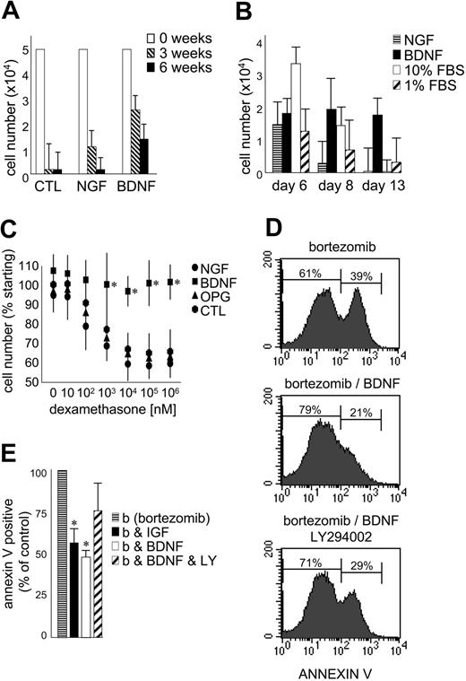 Figure 6. BDNF promotes MM-cell survival. (A) Survival of primary MM cultured with BM stroma. CD138-immunoselected primary MM plasma cells were cultured in 1% serum on HS5 stromal cells. BDNF (50 ng/mL) and NGF (100 ng/mL) were added every 3 days. Viable cells were counted at 0 (□),3(▧), and 6 weeks (▪). The results using aspirates taken from 5 patients are presented as mean ± standard deviation. (B) Survival of primary MM cultured alone. CD138-immunoselected primary MM plasma cells (5 × 104) were cultured without stroma in 1% FBS without (▨) or with BDNF (50 ng/mL; ▪) or NGF (100 ng/mL; ▤). 10% FBS (□) was used as comparator. Viable cells were counted at days 6, 8, and 13. The results using aspirates taken from 5 patients are presented as mean ± standard deviation. (C) BDNF protects HMCL RPMI from dexamethasone-induced death. RPMI 8226 cells in 1% FBS were exposed to increasing concentrations of dexamethasone ± BDNF (50 ng/mL) or NGF (100 ng/mL) or OPG (500 ng/mL). Viable cell numbers were assayed at 5 days using trypan blue exclusion. Each condition was assessed in triplicate, and the results are expressed as the mean ± standard deviation. (D-E) BDNF delays bortezomib-induced death of HMCL JJN3. JJN3 cells in 1% FBS were exposed to bortezomib (10 nM) for 24 hours, stained with annexin V–FITC, and analyzed by FACS. BDNF (50 ng/mL), IGF (100 ng/mL), or LY294002 (5 μM) was added 12 hours prior to bortezomib. (D) FACS profiles of a representative experiment. After 24-hour exposure to bortezomib, 39% of untreated, 21% of BDNF-treated, and 29% of BDNF/LY294002-treated JJN3 cells bind annexin V. Each condition was assessed in triplicate, and the results are presented in panel E as the mean ± standard deviation. ▤ indicates bortezomib alone; ▪, plus IGF; □ plus BDNF; and ▨, plus BDNF and LY294002. Student t test was used to determine significance (P < .05).