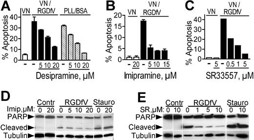 Figure 5. Inhibitors of acid sphingomyelinase decrease endothelial apoptosis induced by αvβ3/αvβ5-integrin inhibition. (A) HBMECs (106 cells/10-cm plate) were seeded on plates coated with vitronectin and blocked with 1% BSA or on plates coated with PLL/BSA (▧). They were then incubated with RGDfV (▪) or vehicle control (□ or ▧). Cells were collected 24 hours later and apoptosis was assessed by PI staining. Desipramine (5-20 μM) was added where indicated starting 2 hours prior to the addition of RGDfV or prior to plating on PLL/BSA. P = .001 for increasing doses of desipramine on vitronectin with RGDfV, and P < .001 for desipramine on PLL/BSA, by one-way ANOVA (n = 3). (B) Cells were plated on vitronectin/BSA and treated and analyzed as in panel A, except that the inhibitor was imipramine. P < .001 by one-way ANOVA in respect to increasing doses of imipramine; n = 3. (C) Cells were plated on vitronectin, treated with RGDfV as indicated, and analyzed as in panels A-B, except that the inhibitor was SR33557. (D-E) Cells were plated on vitronectin and treated with RGDfV or vehicle as in panels A-C. Imipramine (Imip; 5-20 μM) or SR33557 (SR; 1-10 μM) was added where indicated, starting 2 hours prior to RGDfV or vehicle. Staurosporine (50 nM) was used as a positive control. Cells were collected after 24 hours, cell lysates were resolved on 10% SDS-PAGE, and apoptosis was detected by PARP cleavage. Tubulin was used as loading control.