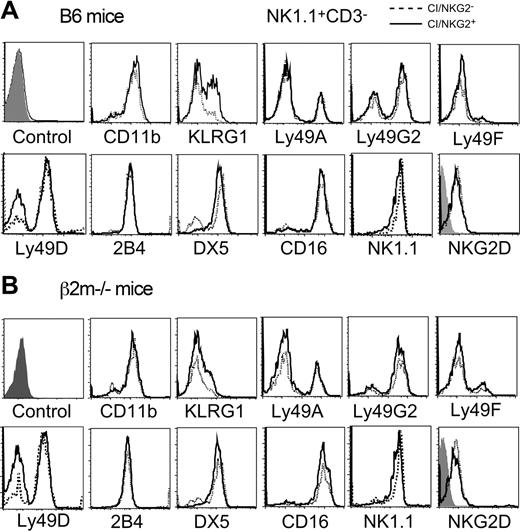 Figure 6. Cell-surface phenotype of CI/NKG2+ and CI/NKG2- NK subsets. Freshly isolated splenocytes from B6 mice (A) or β2m-/- mice (B) were stained with mAbs for the 3 self-specific receptors (Ly49C, Ly49I, and NKG2), NK1.1, CD3, and the other markers indicated. Expression of various markers was compared on gated CI/NKG2+NK1.1+CD3- cells (solid line) and CI/NKG2-NK1.1+CD3- cells (dashed line), except the NK1.1 staining, which was gated on CD3-NKG2D+ cells. The first histogram represents the negative control for all the samples with the exception of NKG2D; the negative control for NKG2D staining is the shaded histogram within that panel.