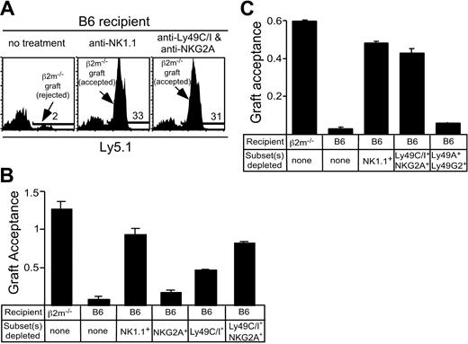 Figure 7. Depletion of CI/NKG2+ NK cells prevents rejection of bone marrow grafts from class I–deficient mice. Recipient mice (β2m-/- or B6) were treated with mAbs to deplete the indicated NK-cell subset, followed by lethal irradiation. At day 0, a mixture of CFSE-labeled bone marrow cells from β2m-/- Ly5.1+ and B6 (Ly5.2) mice was injected intravenously. After 3 days, splenocytes were stained with PE-conjugated anti-Ly5.1 Ab. The results are represented as graft acceptance, calculated as the ratio of β2m-/- (Ly5.1+) bone marrow cells to B6 (Ly5.1-) bone marrow cells among gated CFSE-positive cells. The B6 cells serve as a nonrejected internal reference population. (A) Representative histograms depicting results in which the test graft was rejected (in untreated B6 mice, left) or accepted (B6 mice from which NK1.1+ cells were depleted, middle). The effect of depleting Ly49C/I+ and NKG2+ NK cells is shown in the right panel. The percentage of positive cells (marked by a bar) are indicated in each panel. Note that many of the nonstaining cells in all the panels are in the lowest fluorescence channel along the left axis due to the compensation settings of the flow cytometer. (B) Acceptance of β2m-/- bone marrow grafts by control mice or B6 mice depleted of NKG2A+ NK cells, Ly49C/I+ NK cells, or both subsets. Data represent the mean ± SEM (n = 3 mice). Results were reproduced in a replicate experiment. (C) Acceptance of β2m-/- bone marrow grafts by B6 mice treated with mAbs to deplete the indicated cell populations, or by control β2m-/- mice. Data represent the mean ± SEM (n = 2 mice). Results were reproduced in 2 replicate experiments. The Ly49C/I- and NKG2A-depleted group differed significantly from the Ly49A/G2-depleted group (P ≤ .04) but not from the NK1.1-depleted group (P = .5).