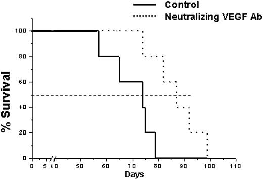 Figure 7. Survival analysis of erythroleukemic mice treated with neutralizing antibody against VEGF-A. Erythroleukemic mice were randomized and divided into 3 groups: (1) control untreated group (solid line); (2) group treated with goat IgG as a control (data not shown); or (3) a group treated with a neutralizing antibody against VEGF-A (dotted line) for 2 weeks. Mice were monitored on a daily basis and killed according to institutional guidelines, and survival was assessed by the method of Kaplan-Meier. Dotted horizontal lines represent median survival.