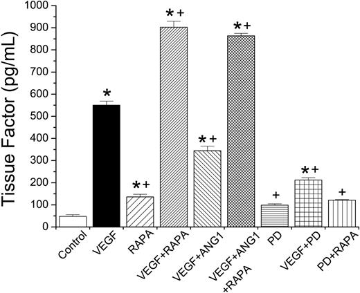 Figure 5. Rapamycin potentiates TF expression of HUVECs in the presence of VEGF. TF expression by HUVECs was measured by ELISA 12 hours after incubation with VEGF or Ang-1 in the presence of different inhibitors. mTOR was inhibited with rapamycin (RAPA), whereas the MAP kinase pathway was interrupted with PD98059 (PD). Results show the mean value ± SEM of 3 independent experiments performed in triplicate. *P < .05 versus control; +, P < .05 versus VEGF stimulation.