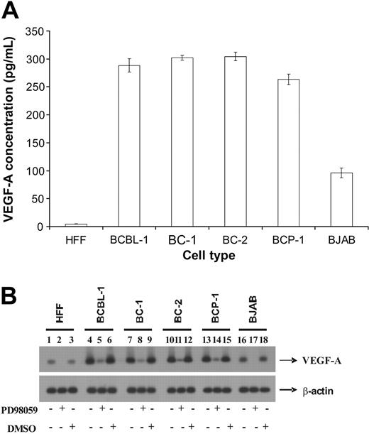 Figure 2. KSHV-infected cells express enhanced levels of VEGF-A. (A) An ELISA was performed to quantify levels of VEGF-A present in the culture supernatant of various target cells. Each reaction was done in triplicate and each point represents the average ± SD of 3 experiments. (B) Northern blot analysis of VEGF-A expression in cells. Target cells were either untreated or treated with 50 μM of PD98059 at 37°C. After 1 hour incubation, the cells were lysed and total RNA was isolated from the cells. The total RNA was subjected to Northern blotting as per standard protocols to monitor VEGF-A and β-actin mRNA.