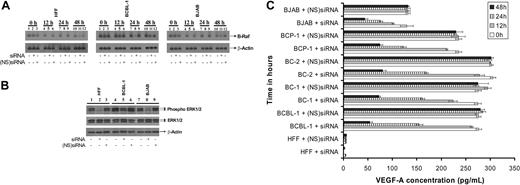 Figure 3. Inhibition of B-Raf by siRNA lowers VEGF-A expression in target cells. Target cells were untransfected or transfected either with ds siRNA or (NS)siRNA controls. (A) After 0, 12, 24, and 48 hours after transfection, total RNA was isolated from the cells and subjected to Northern blotting as per standard protocols to monitor B-Raf and β-actin mRNA. (B) Western blot analysis of phospho ERK1/2, total ERK1/2, and β-actin expression in the above cells was performed at 24 hours after transfection. (C) An ELISA was performed to quantify levels of VEGF-A present in the culture supernatant of various target cells. Each reaction was done in triplicate, and each point represents the average ± SD of 3 experiments.