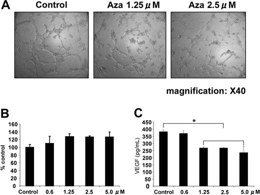 Figure 7. Azaspirane inhibits generation of capillary vessels on HUVECs. HUVECs were cultured in 96-well plates with ECMatrix with or without azaspirane (Aza; 1.25 and 2.5 μM) (magnification, × 40) (A). Cytotoxicity of azaspirane (0-5μM) against HUVECs was determined at 24 hours by MTT assay (B), and VEGF levels in culture supernatants were measured by ELISA (C), and data represent mean (± SD) of quadruplicate cultures. *P < .01.