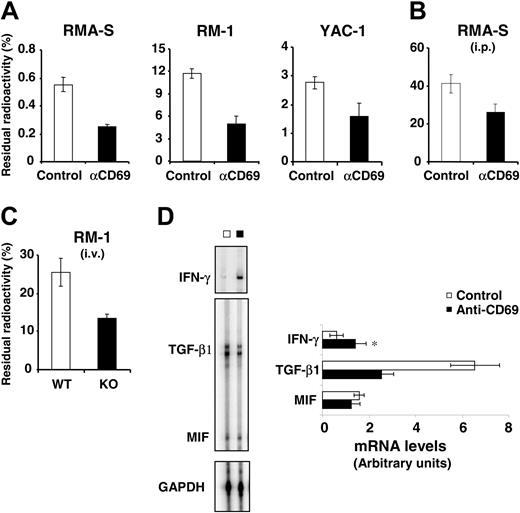 Figure 4. Cytotoxicity and TGF-β1 mRNA expression in NK-cells induced in the antitumor response of anti-CD69–treated mice. Mice treated with 200 μg of mAb CD69.2.2 or with isotype control mAb (intraperitoneally 16 hours prior to injection with the tumor cells) were injected intravenously with 5 × 104 RMA-S, RM-1, or YAC-1 cells (A), intraperitoneally with 5 × 104 RMA-S cells (B), or intravenously with 5 × 104 RM-1 cells in both wt and CD69-/- (KO) mice (C). RMA-S, RM-1, and YAC-1 were labeled with 51Cr prior to injection. Four hours after injection of labeled cells, the percentage of residual radioactivity remaining in the lungs (A,C) or in the peritoneum (B) was determined. Data are expressed as percentages of the total radioactivity injected (mean ± SD). (A, n = 5; B, n = 4; C, n = 4). The results are representative of 2 similar experiments. (D) Relative levels of cytokine mRNA in NK-cells purified from the peritoneum 3 days after the intraperitoneal inoculation of 105 RM-1 cells into either control mice (□) or mice treated (▪) with 200 μg of mAb CD69.2.2 (on days - 1 and +1 of tumor inoculation). The data are expressed in arbitrary densitometric units normalized for the expression of GAPDH in each sample. Five animals were used per experimental group, and results are representative of 2 separate experiments. Error bars represent standard deviation (*P < .05).