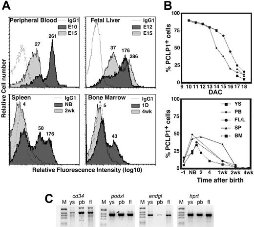Figure 2. Podocalyxin is expressed by all primitive hematopoietic cells and then declines with development. (A) FACS profiles showing expression of PCLP1 by hematopoietic tissues at various stages of development (1 of 3 independent experiments). Mean relative fluorescence intensity (RFI) for each population is indicated numerically above each peak. (B) Graph showing the percentage of PCLP1+ cells in tissues during development. DAC indicates days after coitus. (C) Expression of CD34-related transcripts in YS, PB, and FTL of E15 embryos; podxl, endgl, cd34, and hprt indicate RT-PCR–amplified products for podocalyxin, endoglycan, CD34, and hypoxanthine-guanine phosphoribosyl transferase, respectively. The RT-PCR products are shown in a negative image of an agarose gel stained with ethidium bromide. M indicates molecular weight marker.