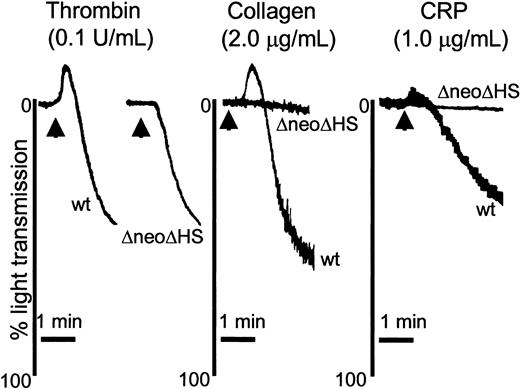 Figure 1. Absence of GATA1 leads to a selective reduction in GPVI-mediated platelet aggregation at low concentrations of agonist. Washed murine platelets (1 × 108/mL) obtained from wild-type (WT; n = 3) and ΔneoΔHS (ΔneoΔHS; n = 8) mice were stimulated with thrombin (0.1 U/mL; left), collagen (2.0 μg/mL; middle), or CRP (1.0 μg/mL; right) and allowed to aggregate for 2.5 minutes, with stirring at 1200 rpm. Platelet aggregation was demonstrated by the change in light transmission. An arrow marks addition of agonist for thrombin 2 arrows are used, to assist in delineating between the WT and ΔneoΔHS tracings. Representative aggregation tracings are shown.