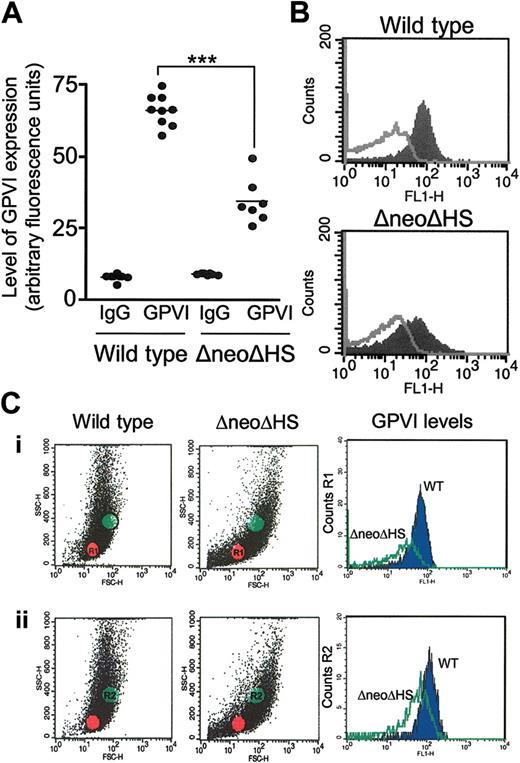 Figure 3. GATA1 contributes to the surface expression of GPVI on murine platelets. Washed murine platelet suspensions (2 × 106 platelets) were labeled with murine-specific FITC-conjugated anti-GPVI antibody (6 E.10) or appropriate negative control (FITC-conjugated rat IgG) for 15 minutes at RT. Suspensions were diluted with Tyrode buffer prior to detection of fluorescence using a flow cytometer. GPVI expression is represented in arbitrary fluorescence units. (A) Graph shows fluorescence values for individual mice (WT, n = 9; ΔneoΔHS, n = 7), and the matched negative control. Horizontal bar represents mean value. Statistical significance is shown, P < .001, ***. (B) A representative fluorescence-activated cell sorting (FACS) tracing for a wild-type and ΔneoΔHS mouse platelet suspension is shown. The filled curve shows the binding of 6 E.10, and the open curve represents the binding of rat IgG. (C) A representative fluorescence profile demonstrates the scatter of platelets in 1 wild-type and 1 ΔneoΔHS mouse suspension. (Ci) The fluorescence of region 1 (R1, red dots), representing smaller platelets, has been measured and plotted on FL1-H. (Cii) The fluorescence of region 2 (R2, green dots), representing larger platelets, has been measured and plotted on FL1-H. The blue filled curve shows the binding of 6 E.10 to wild-type platelets, and the green unfilled curve represents the binding 6 E.10 to ΔneoΔHS platelets.
