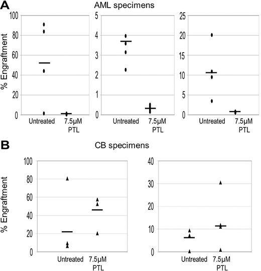 Figure 3. PTL inhibits NOD/SCID repopulating ability for AML but not normal cells. Percentage of engraftment for NOD/SCID mice that received a transplant with AML (A) or normal CB (B) cells after 18 hours of culture with or without 7.5 μM PTL. Each • or ▴ represents a single animal analyzed at 6 to 8 weeks after transplantation. Each plot represents an AML/CB specimen. Mean engraftment is indicated by the horizontal bars.