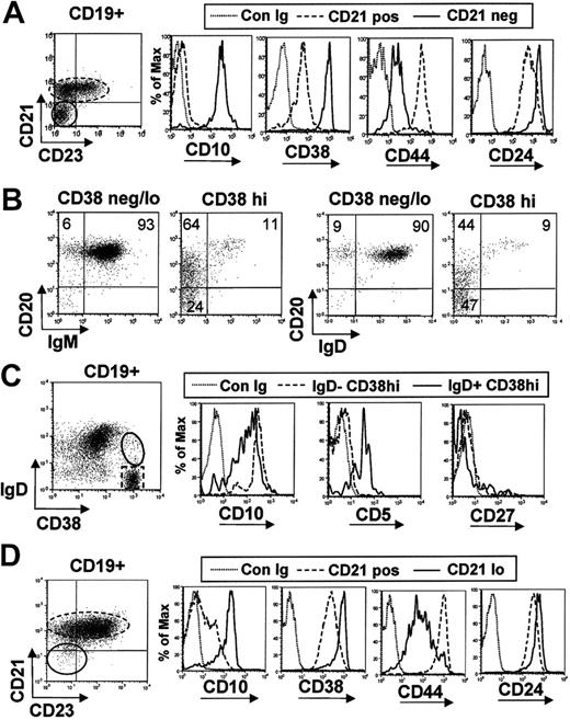 Figure 1. Immature B-cell markers expressed by adult bone marrow and term cord-blood B cells. (A) Bone marrow CD19+ B cells were gated into CD21- immature and CD21+ mature fractions and the differential expression of CD10, CD38, CD44, and CD24 was assessed relative to isotype matched control mAb (Con Ig). (B) Bone marrow CD19+ B cells were gated into CD38neg/lo mature B cells and a CD38hi immature subset. A fraction of the latter express CD20 more densely and both IgM and IgD. (C) Differential expression of CD5 and CD10 by bone marrow IgD- CD38hi pro/pre B cells and IgD+ CD38hi immature B cells. (D) Cord blood CD19+ B cells were gated into CD21neg/lo and CD21+ fractions, and the differential expression of immature bone marrow markers was assessed. Results are representative of 2 bone marrow aspirates and 10 cord blood samples.