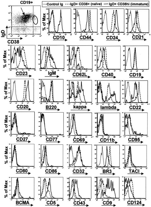 Figure 2. Circulating IgD+ CD38hi B cells express immature B-cell markers with an overall phenotype similar to transitional type I (T1) B cells. B cells were enriched from blood of healthy adult donors and stained with anti-CD19, anti-IgD, anti-CD38, and a fourth anti–human mAb. The differential expression of a variety of B-cell markers was compared between the IgD+ CD38hi immature population (solid line) and IgD+ CD38+ mature naive B cells (dashed line, indicated with arrow). Results are representative of data from at least 4 healthy adult donors.