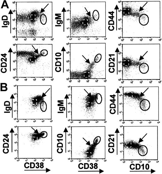 Figure 5. “Intermediate” B cells are present in cord and peripheral blood. B cells from (A) peripheral and (B) cord blood were stained with various combinations of immature and T1 B-cell markers. The T1 population (solid gate), naive B cells (dashed gate), and “intermediate B cells” (arrow) are indicated.