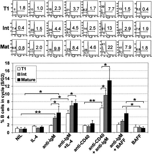 Figure 7. T1 B cells have reduced capacity to enter cell cycle following B-cell receptor engagement. T1, mature, and intermediate B-cell populations (Figure 4A) were cultured alone (NIL) or stimulated with various combinations of IL-4 (100 ng/mL), anti-IgM (10 μg/mL), anti-CD40 (1 μg/mL), or BAFF (200 ng/mL) for 48 hours. Afterward, hypotonic propidium iodide staining was carried out to determine apoptotic and cycling cells. Forward/side scatter and FL2 width gating were used to gate out nuclear fragments and doublets. The FL2 area was examined to identify the frequency of sub G0/G1 apoptotic cells (left number) and S/G2 cycling cells (right number). A representative experiment is shown in the top panel, and the means ± SEM of 4 independent experiments is shown in the bottom panel. Unpaired t tests were used to detect significant differences (*P <.05; **P <.01).