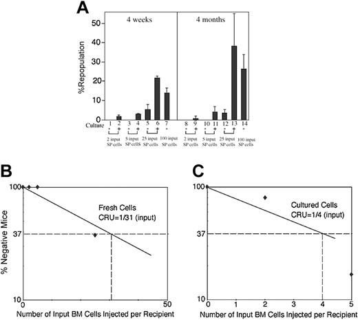Figure 2. Culture dramatically increases in vivo repopulating stem-cell activity of BM SP cells. (A) Freshly isolated adult CD45.2 BM SP cells (2, 5, 25, or 100) or their progenies after 10 days of culture were transplanted (together with 1 × 105 CD45.1 competitor BM cells per mouse, n = 5-8) into CD45.1 congenic mice. Peripheral blood engraftments at 4 weeks and 4 months after transplantation are shown. Error bars indicate SEM. (B) Limiting dilution analysis of the repopulating ability of BM SP cells before culture. Irradiated CD45.1 congenic mice were injected with 105 CD45.1 BM competitor cells and 2 (n = 7 mice), 5 (n = 6), 25 (n = 8), or 100 (n = 5) freshly isolated CD45.2 BM SP cells. Similar to Figure 1E, plotted is the percentage of recipient mice containing less than 1% CD45.2 lymphoid and myeloid subpopulations in nucleated peripheral blood cells 4 months after transplantation versus the number of injected cells. Input SP cells (100) resulted in 0% of negative mice, and this data point is not plotted. (C) Limiting dilution analysis of the repopulating ability of BM SP cells after culture. The same assay as used in panel B was carried out except the progenies of the input 2 (n = 5), 5 (n = 6), 25 (n = 4), or 100 SP cells (n = 5) after 10 days of culture were injected. The cultured progeny of 25 or 100 input SP cells resulted in 0% of negative mice, and the data points are not plotted.