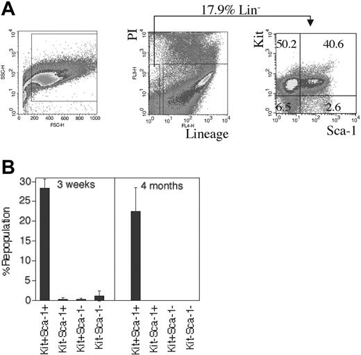 Figure 3. All HSCs reside in the Kit- and Sca-1–positive fraction of cultured BM cells. (A) Ten-day cultured BM cells were stained with a cocktail of biotinylated lineage-specific antibodies, followed by streptavidin-APC, anti–Sca-1–FITC, and anti-Kit–PE. Forward scatter (FSC) and side scatter (SSC) on the left plot is used to gate on hematopoietic cells. In the middle and right plots, Lin- (negative APC-stained) and propidium iodide–negative (PI-) cells were gated to show surface expression of Sca-1 and Kit. Numbers in the graph are the percentages of each cell fraction. (B) Expanded HSCs in cultured BM cells are Sca-1+Kit+. After 10 days of culture of total BM cells, 1.3 × 104 sorted CD45.2 Sca-1+Kit+, Sca-1+Kit-, Sca-1-Kit+, or Sca-1-Kit- cells were transplanted together with 2 × 105 CD45.1 competitor cells into lethally irradiated CD45.1 mice (n = 4). Peripheral blood engraftments at 3 weeks and 4 months after transplantation are shown. Error bars indicate SEM.