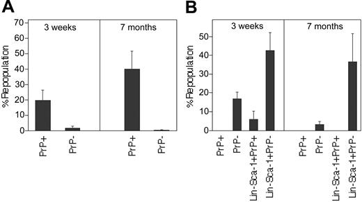 Figure 5. All ex vivo–expanded BM HSCs are PrP-. (A) Either 105 PrP- or 2 × 104 PrP+ freshly isolated CD45.2 donor BM cells were mixed with 105 competitor CD45.1 cells and transplanted into lethally irradiated CD45.1 mice (n = 4). Donor CD45.2 contribution at 3 weeks (left) and 7 months (right) after transplantation are shown. (B) PrP+ and PrP- cells (5000) sorted from 10-day cultured total BM or 3000 Lin-Sca-1+PrP+ and Lin-Sca-1+PrP- cells sorted from 4-day cultured total BM cells were transplanted together with 2 × 105 CD45.1 competitor cells into lethally irradiated CD45.1 mice (n = 4). Peripheral blood engraftments at 3 weeks (left) and 7 months (right) after transplantation are shown. Error bars indicate SEM.