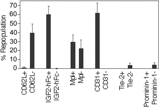 Figure 6. Ex vivo–expanded BM HSCs are CD62L-, IGF2-hFc+, CD31+, Tie-2-, and prominin-1-. After 10 days of culture of total BM cells, 4 × 104 sorted CD62L+ and CD62L- cells, or IGF2-hFc+ and IGF2-hFc- cells, or Mpl+ and Mpl- cells, or CD31+ and CD31- cells, or 6000 sorted Tie-2+ and Tie-2- cells, or 6000 prominin-1+ and prominin-1- cells were transplanted, respectively, together with 105 CD45.1 competitor cells into lethally irradiated CD45.1 mice (n = 4). Peripheral blood engraftments at 4 months after transplantation are shown. Error bars indicate SEM.