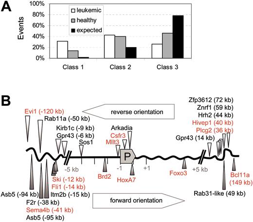 Figure 4. Class distribution of insertional hits in leukemic animals and healthy controls. (A) The overrepresentation of class 1 hits (established proto-oncogenes) in leukemias. Other signaling genes (class 2) are also more often hit than expected, in both leukemic and healthy mice. Class 3 summarizes hits in other loci. □ indicates leukemic mice; ▦, healthy mice; and ▪, expected value. The expected frequency of hits is calculated on the representation of the gene classes in the mouse genome, as derived from Futreal et al21 and Akagi et al35 for class 1 and Figure 18 (gene ontology) of Waterston et al36 for signaling genes. (B) Schematic representation of the leukemia-associated insertional class 1 hits (red) and class 2 hits (black) with respect to the promoter (P). Hits in reverse orientation are shown above the gene scheme, hits with forward orientation below. There is some preference for the 5-kb window upstream of the transcriptional start site, but not for a particular orientation.
