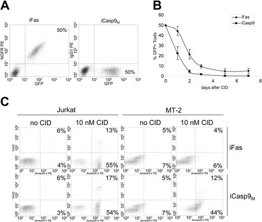 Figure 5. Comparison of functionality of iFas and iCasp9M in T cells. (A) EBV-CTLs were transduced with ΔNGFR-iFas.I.GFP (left) or iCasp9M.I.GFP (right) and sorted for high GFP expression. Transduced CTLs were then mixed 1:1 with nontransduced CTLs. The percentages of ΔNGFR+/GFP+ and GFP+ T cells are indicated. (B) On the day of LCL stimulation, 10 nM CID was administered, and GFP was measured at the time points indicated to determine the response to CID. ♦ indicates ΔNGFR-iFas.I.GFP; ▪, iCasp9M.I.GFP. Mean and standard deviation of 3 experiments are shown. (C) The human T-cell lines Jurkat (left) and MT-2 (right) were transduced with ΔNGFR-iFas.I.GFP (top row) or iCasp9M.I.GFP (bottom row). An equal percentage of T cells was transduced with each of the suicide genes: 92% for ΔNGFR-iFas.I.GFP versus 84% for iCasp9M.I.GFP in Jurkat, and 76% for ΔNGFR-iFas.I.GFP versus 70% for iCasp9M.I.GFP in MT-2 (data not shown). T cells were either nontreated or incubated with 10 nM CID. Eight hours after exposure to CID, apoptosis was measured by staining for annexin V and 7-AAD. Representative example of 3 experiments is shown. PE indicates phycoerythrin.