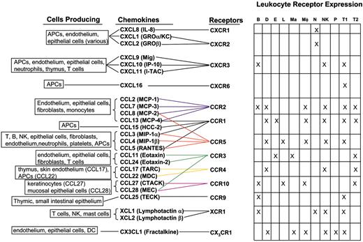 Figure 1. Inflammatory chemokines and receptors.20,43-93 APC indicates antigen-presenting cell; B, B cell; D, dendritic cell; E, eosinophil; L, Langerhan cell; Ma, mast cell; Mφ, macrophage; N, neutrophil; NK, natural killer cell; P, platelet; T1, TH1/TC1 cell; and T2, TH2/TC2 cell. DC indicates dendritic cell; GRO, growth-related oncogene; I-TAC, inducible T cell alpha chemoattractant; MCP, macrophage chemotactic protein; HCC, hemofiltrate CC chemokine; MIP, macrophage inflammatory protein; RANTES, regulated on activation normal T cell expressed and secreted; TARC, thymus and activation regulated chemokine; MDC, macrophage-derived chemokine; CTACK, cutaneous T-cell–attracting chemokine; MEC, mucosae-associated epithelial chemokine; and TECK, thymus-expressed chemokine.