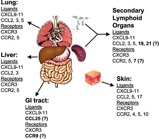 Figure 2. Chemokines and receptors in GVHD target organs. Boldface text denotes chemokines and receptors whose role in acute GVHD has not been demonstrated experimentally.