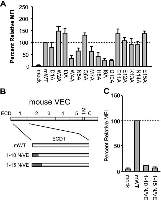 Figure 2. Identification of the epitope for E4G10. (A) Alanine scanning was performed in full-length mVE-cadherin cDNA expression plasmids, with substitutions at amino acid positions 1-15. Mock-transfected, as well as 293 cells expressing murine wild-type (mWT) and mutant mVE-cadherin expression plasmids were stained with E4G10 followed by goat anti–rat-PE secondary antibody to determine relative MFI by flow cytometry. The mAb-binding activity on the alanine-substituted VE-cadherin is measured relative to binding activity on mWT VE-cadherin and normalized for transfection efficiency (percent relative MFI, see “Materials and methods”). Bar graphs represent the average of 3 separate experiments with SDs. (B) Diagram of mWT and mN-cadherin1-10/mVE-cadherin11-739 (1-10 N/VE) and mN-cadherin1-15/mVE-cadherin16-739 (1-15 N/VE) chimeric molecules. VEC indicates VE-cadherin. (C) Results of E4G10 binding to the 1-10 N/VE and 1-15 N/VE chimeric molecules compared to mWT and mock transfected (n = 3).