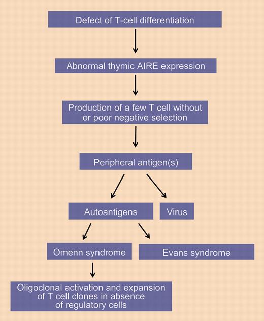 Possible scenario leading to Omenn syndrome.