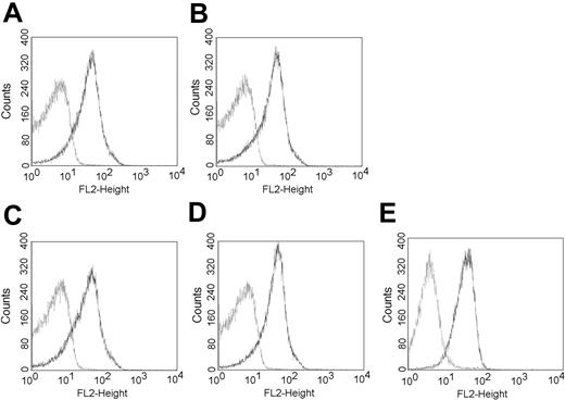 Figure 3. Expression of PSGL-1 in the thymuses of BM chimeras. After irradiation, normal (A-B) and L-selectin-deficient (C-D) C57BL/6 mice were reconstituted with syngeneic BM cells collected from normal (A,C) or L-selectin-deficient (B,D) mice, as described in “Materials and methods.” After 4 weeks, the thymocytes were analyzed for PSGL-1 expression by flow cytometry using the PSGL-1-specific mAb antibody (dark line). (E) Flow cytometric analysis of PSGL-1 (dark line) on KOL1682 lymphoma cell line. Control included incubation with the phycoerythrin (PE) conjugate alone. FL-2 indicates fluorescence intensity.