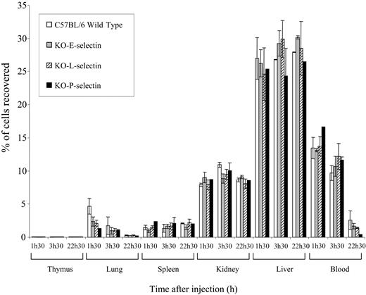Figure 6. In vivo migration assays of 164T2 T-lymphoma cells in normal and E-, L-, and P-selectin-deficient mice. Cells were labeled in vitro with 111In, and 106 labeled cells were subsequently injected intravenously into mice. Radioactivity was counted in the organs at different times and was expressed as the percentage of total radioactivity injected, as described previously.32 Data represent the mean values of duplicates.