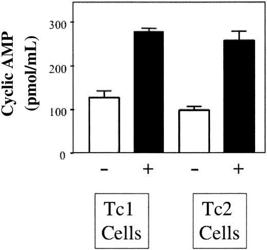 Figure 4. A2A receptor activation of Tc1 and Tc2 cells increases intracellular cAMP after costimulation. Tc1 and Tc2 cells were harvested on day 5 of culture, and restimulated with 3/28 beads either in the absence (-) or presence (+) of CGS (10-7 M). Intracellular cAMP was then measured, as described in “Materials and methods.” Results are mean and SEM of triplicate values.
